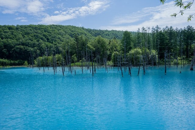 Blue Pond